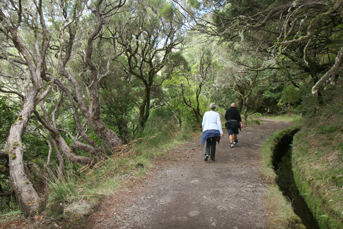 Fra Levada-vandringen i Rabacal. Vi gik langs Levada do Risco, en af de ældste på Madeira.