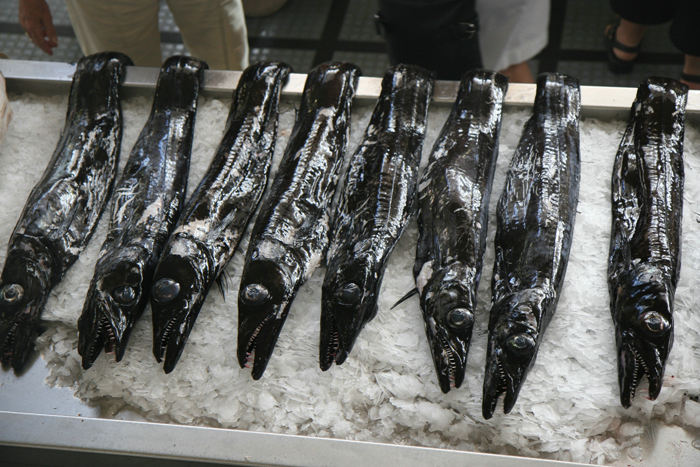 Espada, som er en specialitet på Madeira, er en kulsort, skælløs fisk, som lever på meget dybt vand. Dens faste, hvide kød smager fortræffeligt.