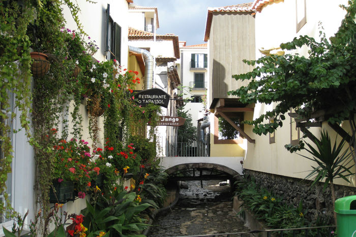 Parti fra den gamle bydel i Funchal. Der vokser planter og blomster overalt.