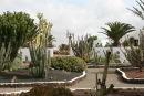 Endnu et parti fra kaktushaven på frilandsmuseet i Antigua på Fuerteventura. 