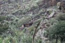 Inde i Barranco de Guayadeque har guanchaerne (de oprindelige beboere) boet i huler inde i bjergene. Det er blevet in at bo i disse huler, så mange af dem er beboet.  