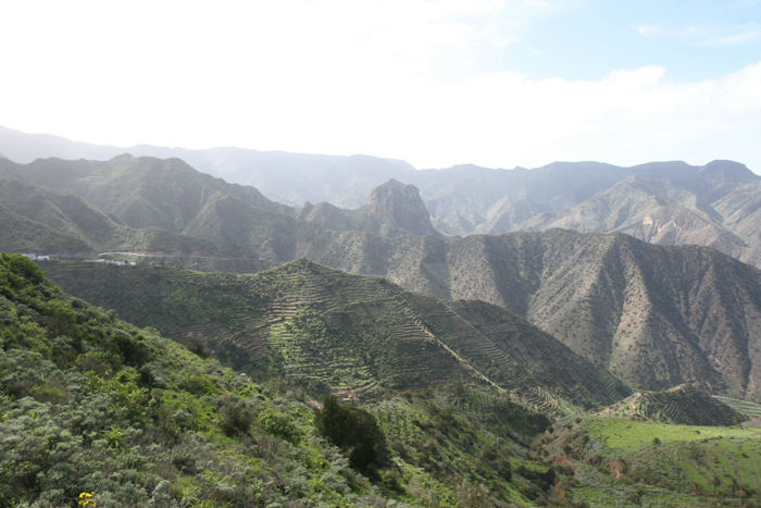 Et bjergparti på vejen mellem Las Rosas og Vallehermoso på den nordlige side af La Gomera. Man ser tydeligt alle terrasserne, der gennem tiden er anlagt op ad bjergsiderne.