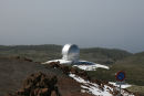 Verdens største og mest avancerede teleskop, Gran Telescope Canaria, ligger også på Roque de los Muchachas. Herfra kan man se 70 af de 88 kendte stjernesystemer i Rummet.