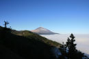 Da vi kom op gennem skyerne og ud af fyrreskoven, dukkede Teide op ude i horisonten. Et flot syn.  