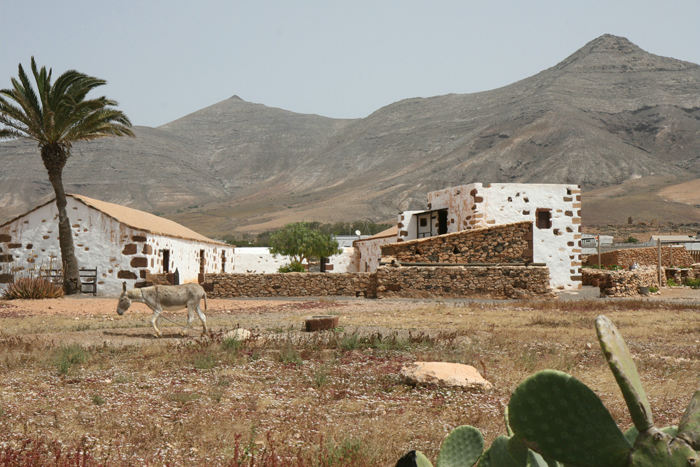 Casa Sr. Teodosio i Ecomuseo de La Alcogida nær Tetir på Fuerteventura. Det er et frilandsmuseum, der viser hvordan de lokale har levet. 